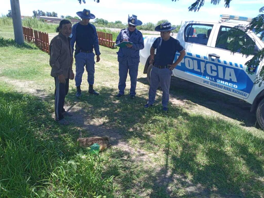 6577731251cdc400194995