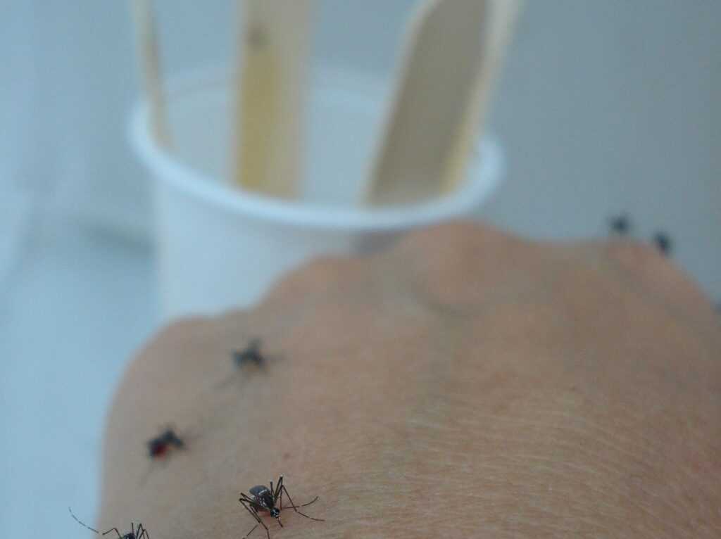 658f276b0cbf8222071497