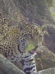 WhatsApp-Image-2023-12-17-at-19.26.36-771x1024