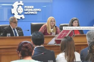 carmen brito diputados