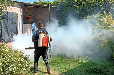 fumigación2