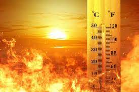 Calorrr