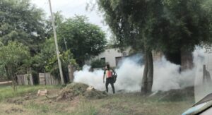 WhatsApp Image 2024-01-18 at 09.40.02