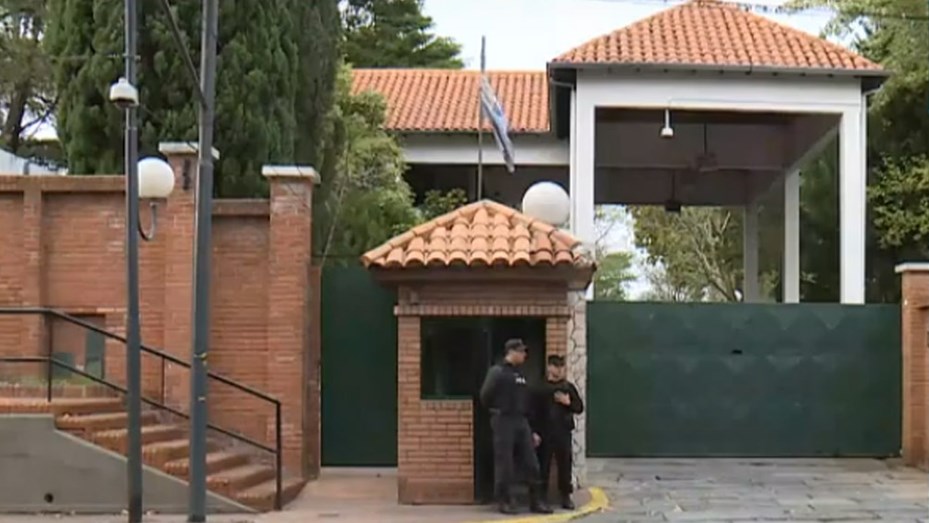 olivos