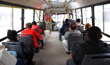 colectivo1