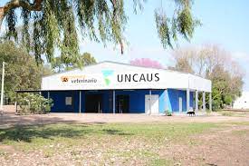 veterinaria Uncaus