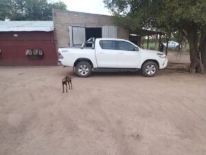 camioneta