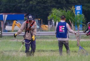 rotonda rutas 11 y 16