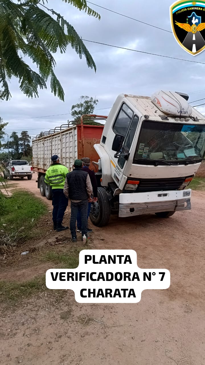 camion