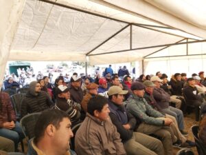 sp productores