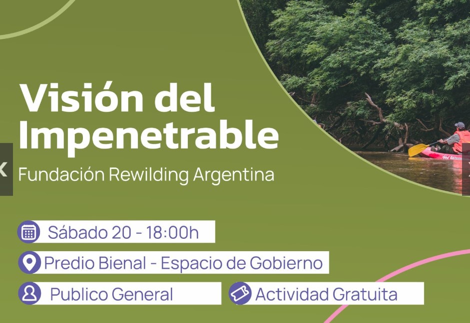 bienal impenetrable