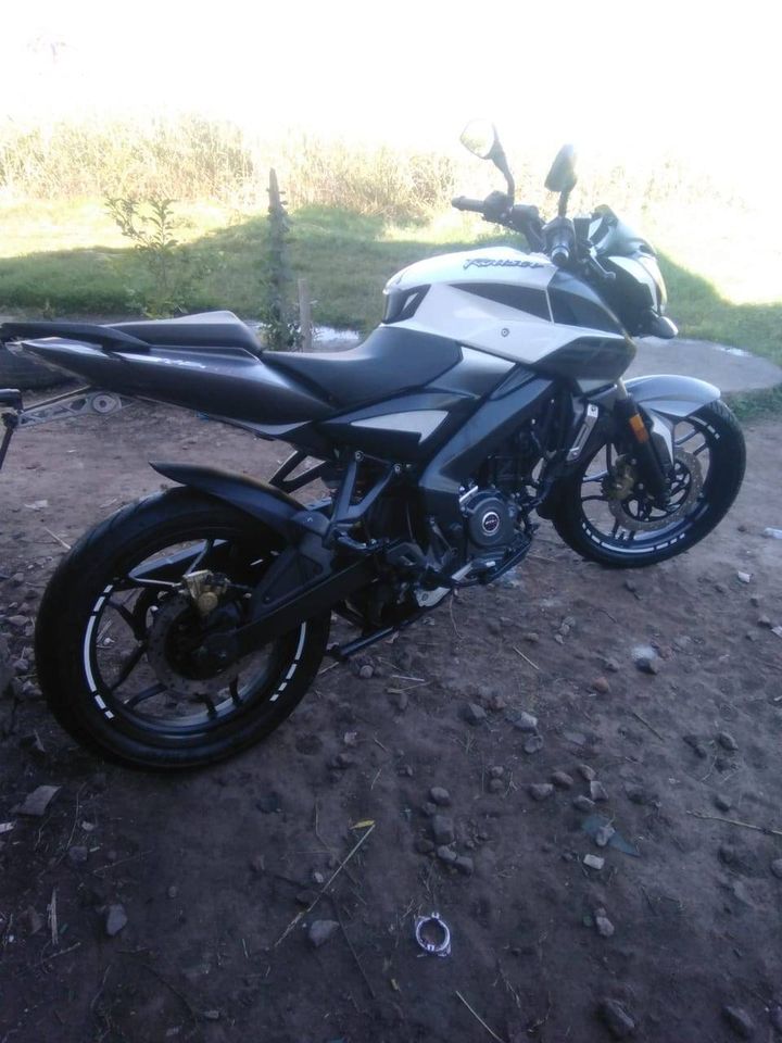 451500463_795638182726647_1014752382122308373_n