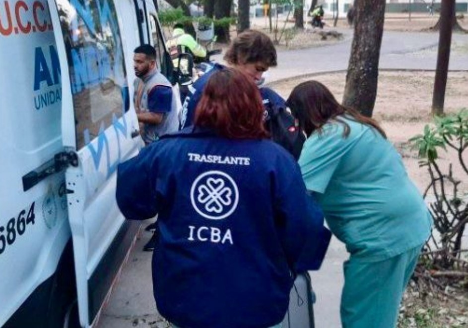 donación de órganos1