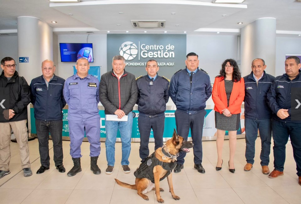 sáenz peña marihuana