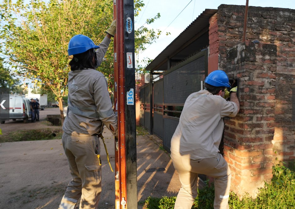 secheep tolerancia cero