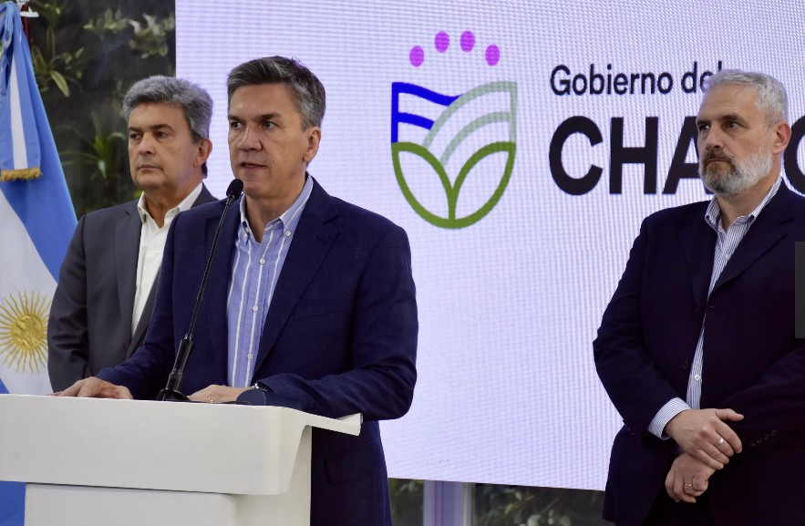 campaña algodón