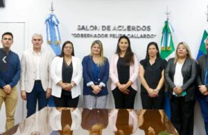 subsecretarios desarrollo humano