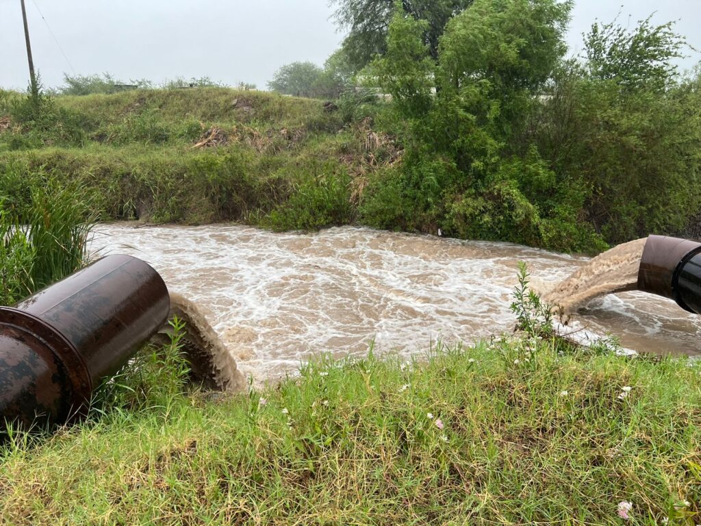 WhatsApp Image 2024-11-05 at 07.45.57