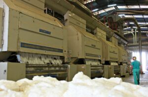 desmotadora algodón