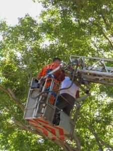 491933416_1101175822036658_7963135218400257436_n