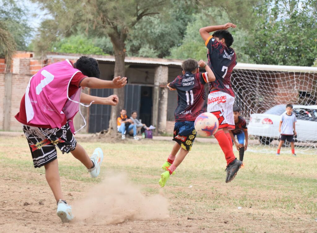 865245d3-a969-45cf-a7c4-0d07368fd262