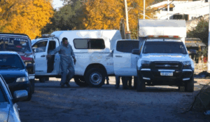 DeWatermark.ai_1745879919715