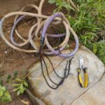 WhatsApp Image 2025-04-01 at 11.54.56