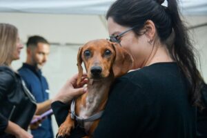 WhatsApp Image 2025-04-07 at 08.45.44