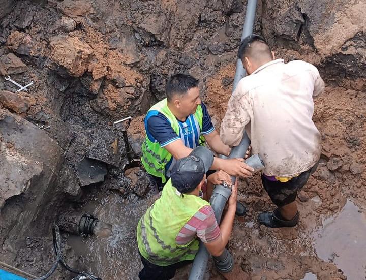 WhatsApp Image 2025-04-13 at 16.01.18