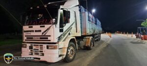 WhatsApp Image 2025-04-14 at 07.58.08