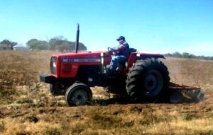 WhatsApp Image 2025-04-30 at 19.20.36