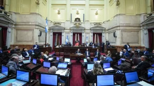 senado-victoria-villarruel
