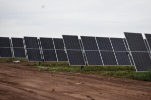 WhatsApp Image 2025-05-03 at 19.11.18