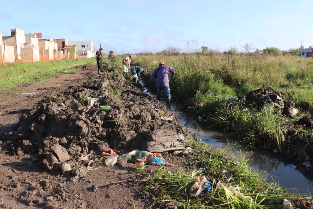 WhatsApp Image 2025-05-10 at 15.32.38