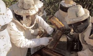 attach_fadafb8a7186c848c3a9758e36870cb7-1080x653