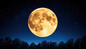 luna-llena-de-mayo-a-que-hora-es-y-como-verla-hoy-en-la-argentina-foto-adobe-stock-LDORVVJE6NGDFKAQ7SVLUBJ2TE