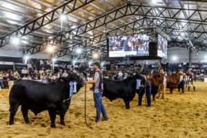 2-BRANGUS-PARA-LA-GACETILLA-1024x683