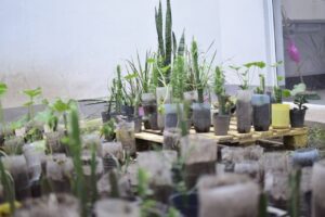 504965157_1042794361327815_2461360857645264763_n (1)