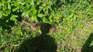 505119172_1038230588410710_1744068051936770883_n