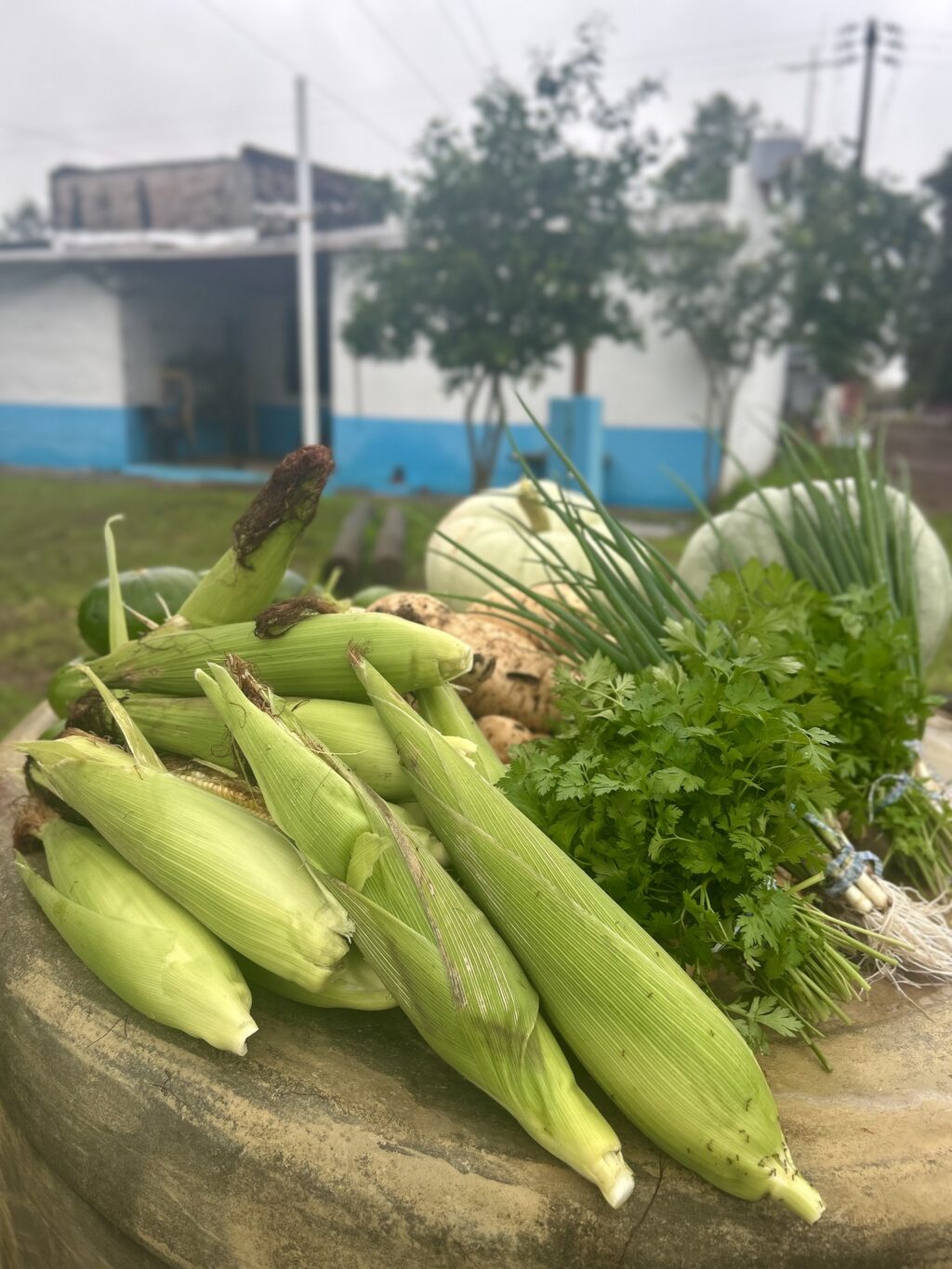 508597376_122228860490167730_7455278213206336394_n