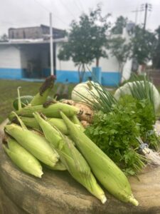 508597376_122228860490167730_7455278213206336394_n