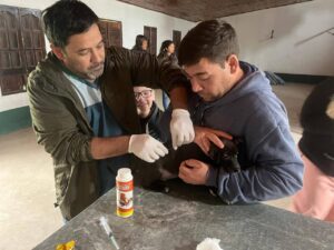 510291476_1135146951981870_2262276489051511935_n