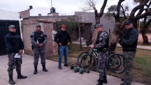 DeWatermark.ai_1750020194320