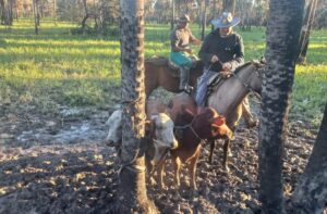 WhatsApp Image 2025-06-02 at 20.19.58 (1)