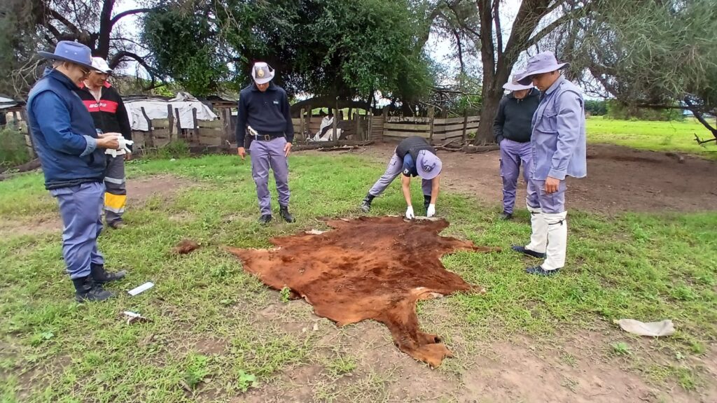 WhatsApp Image 2025-06-05 at 21.21.02