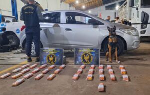 WhatsApp Image 2025-06-06 at 16.01.07 (1)