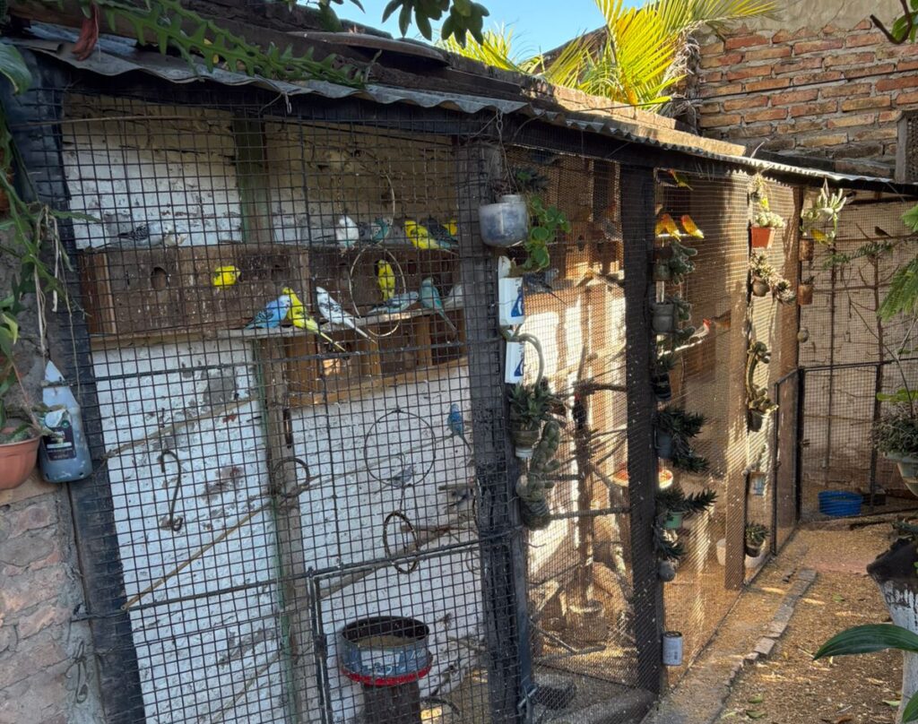 WhatsApp Image 2025-06-09 at 19.17.27