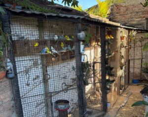 WhatsApp Image 2025-06-09 at 19.17.27