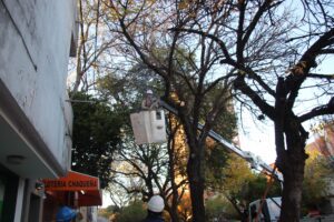 WhatsApp Image 2025-06-11 at 12.38.15