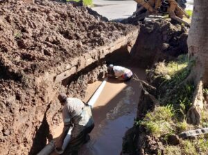 WhatsApp Image 2025-06-12 at 12.04.45